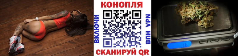 Шишки марихуана OG Kush  цена   Остров 